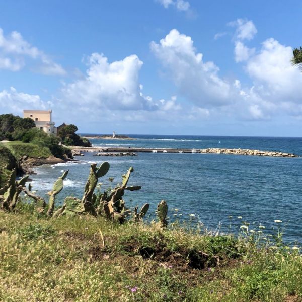 Mare e Monti - Cilento zu Fu� - Italien