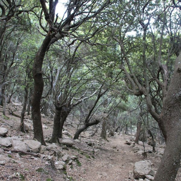 Küsten- und Bergwanderung auf Pilgerwegen - Mallorca