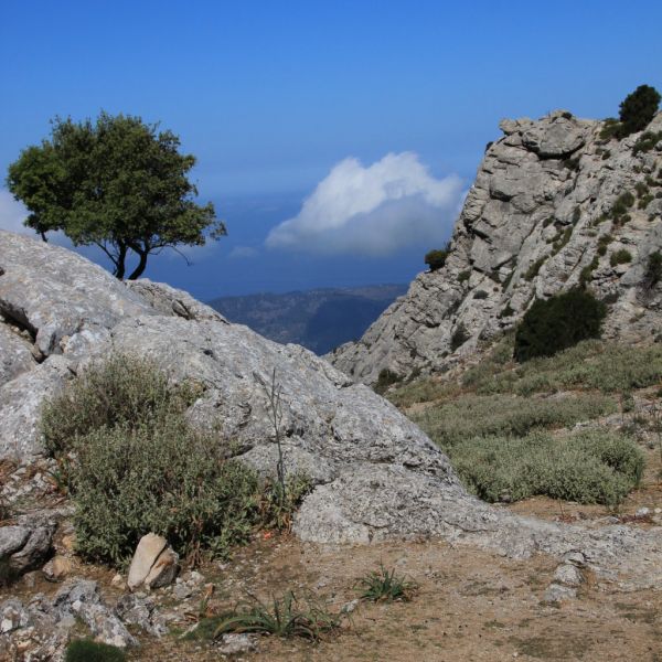 Küsten- und Bergwanderung auf Pilgerwegen - Mallorca