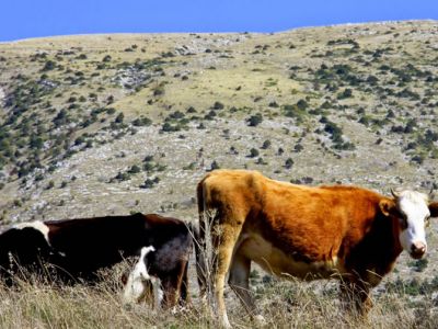 Etappenwandern in Albaniens Sden