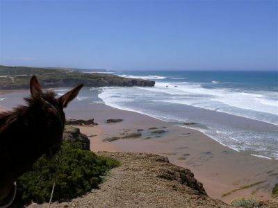 Wanderwoche mit Gep�cktransport durch Esel an der Algarve Costa Vicentina Portugal