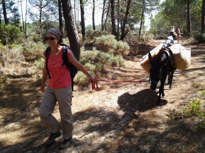 nachhaltig reisen �kotourismus Portugal Eselwandern Algarve
