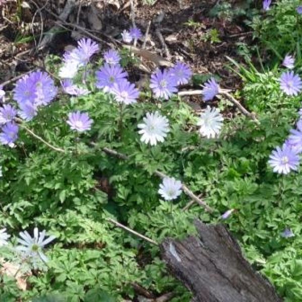 Mare e Monti - Cilento zu Fu� - Italien