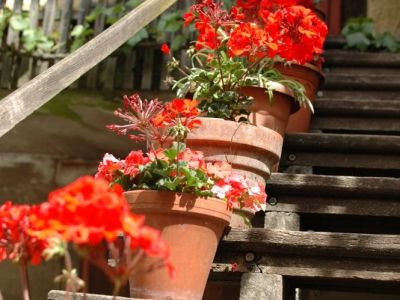Reiterhof im Niedersachsen Deutschland Reiturlaub fr Familien