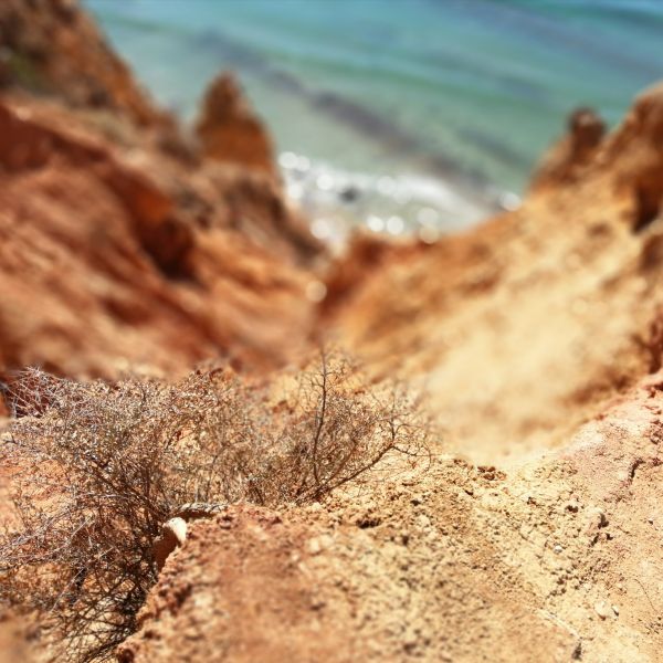 Wandern an der Algarve: Von der Serra Monchique bis zur Atlantikkste - Portugal