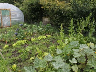 Aus dem hauseigenen Gem�segarten stammt das verwendete Gem�se f�r die Mahlzeiten.