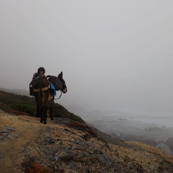 Eselwandern an der Algarve: Steilk�sten, Sandstr�nde und wildes Hinterland - Portugal