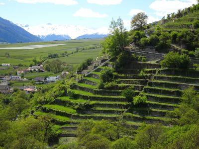 Familien Wanderwoche Sdtirol Vinschgau 