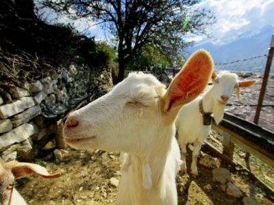 ursprngliches Albanien whrend Wanderwoche