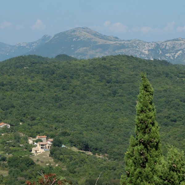 Landpension im ursprnglichen Istrien - Kroatien