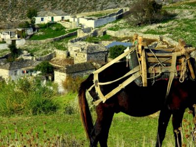 Wandern in Albanien mit Gepcktransport