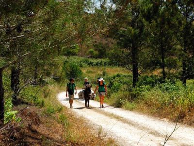 Eselwandern auf der Costa Vicentina Algarve Portugal