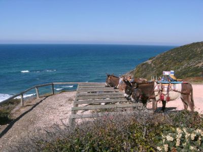 Eselwandern auf der Costa Vicentina Algarve Portugal