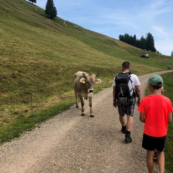 Wanderwoche fr Familien am Vierwaldstttersee - Schweiz