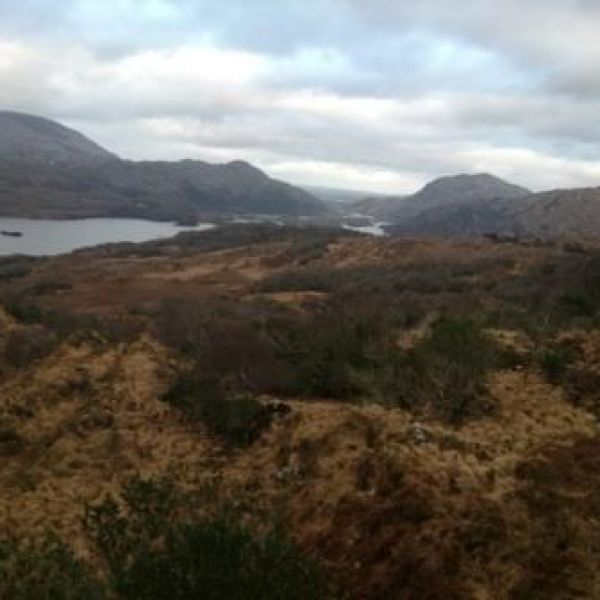 �ko-Pension in Irland - G�lische Kultur und wilde K�sten