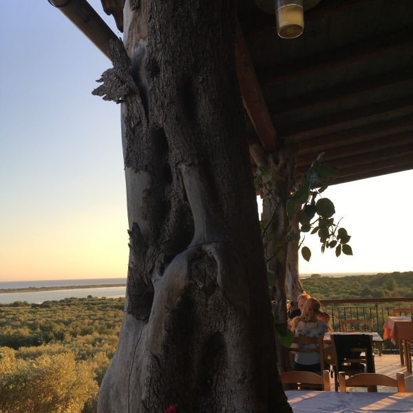 Bio-Agriturismo im S�den Korfus