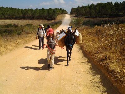 nachhaltig reisen �kotourismus Portugal Eselwandern Algarve