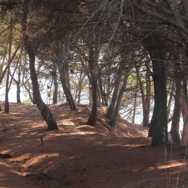 Mare e Monti - Cilento zu Fu� - Italien