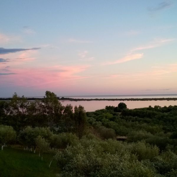 Bio-Agriturismo im S�den Korfus