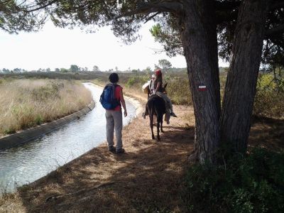 nachhaltig reisen Portugal Algarve Eselwandern individuell