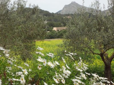 Alternativer Urlaub in der Natur Mallorca’s