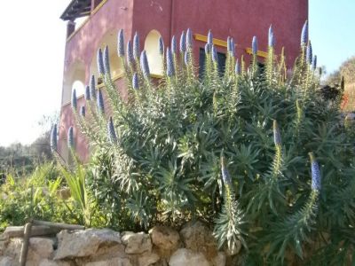 Bio-Bauernhof Agrotourismus Korfu Vraganiotika - Haus und  Kr�uter