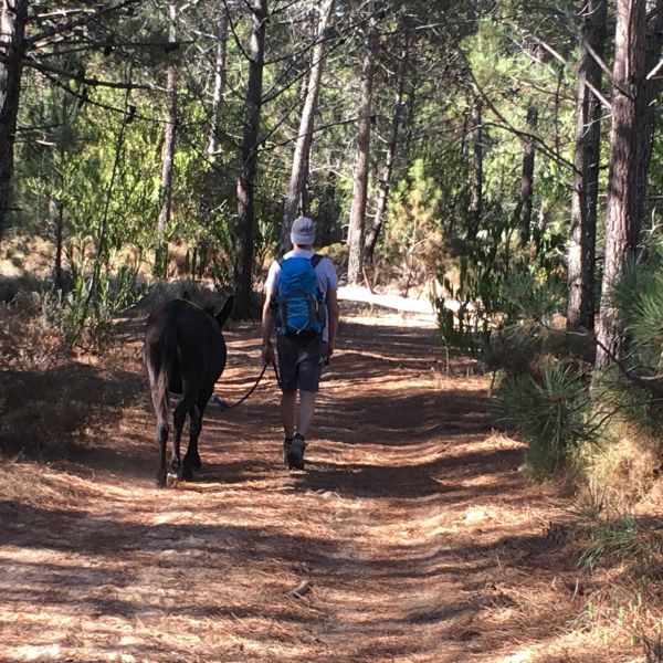 Eselwandern an der Algarve: Steilk�sten, Sandstr�nde und wildes Hinterland - Portugal
