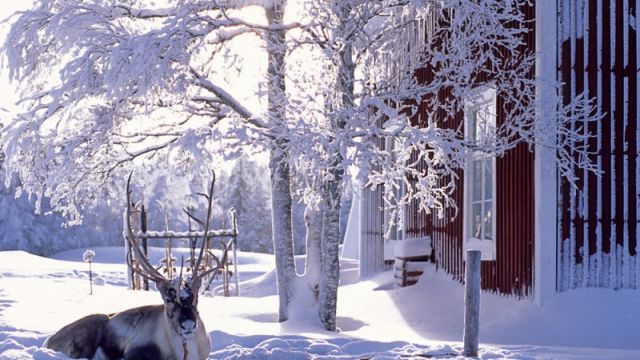 Wohlfhlurlaub in Lappland