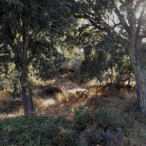 Wandern an der Algarve: Von der Serra Monchique bis zur Atlantikkste - Portugal