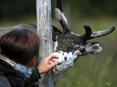 Kleine Streicheleinheiten sind ausdrcklich erlaubt (Foto: Sandra Peter und Jochen Oetinger)